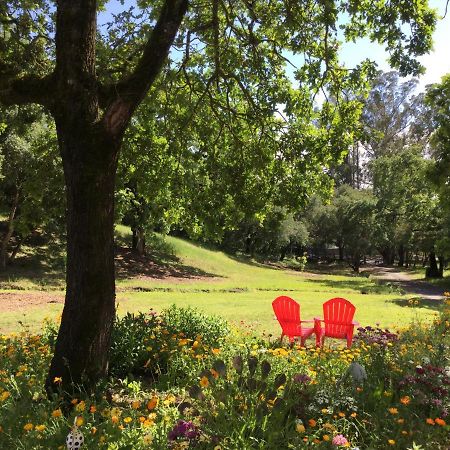 Amitabha Wine Country Cottage Santa Rosa Buitenkant foto