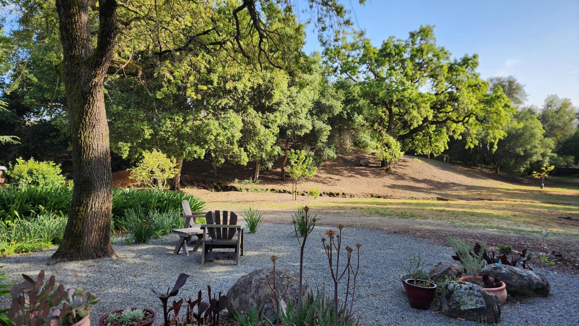 Amitabha Wine Country Cottage Santa Rosa Buitenkant foto
