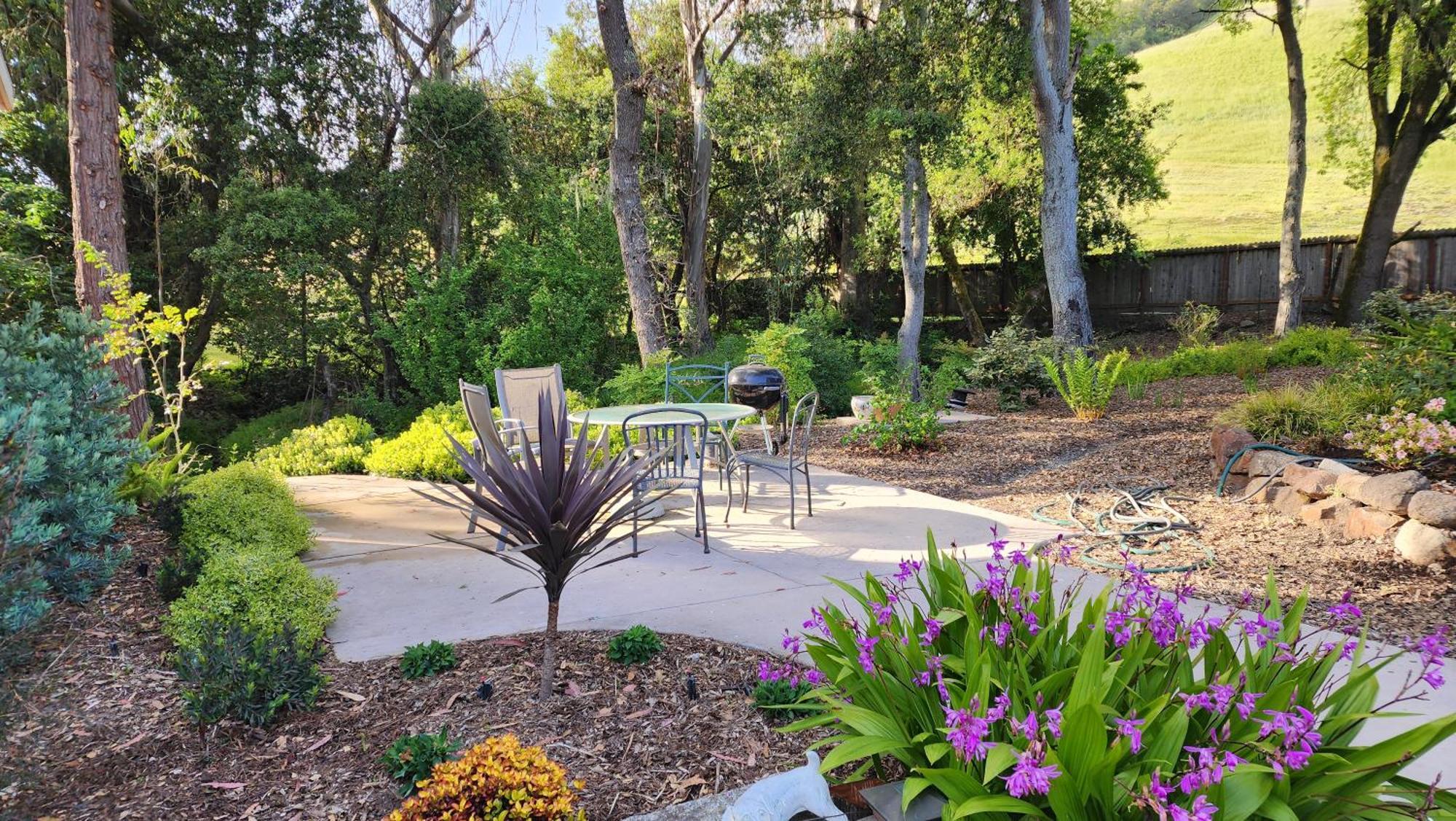 Amitabha Wine Country Cottage Santa Rosa Buitenkant foto