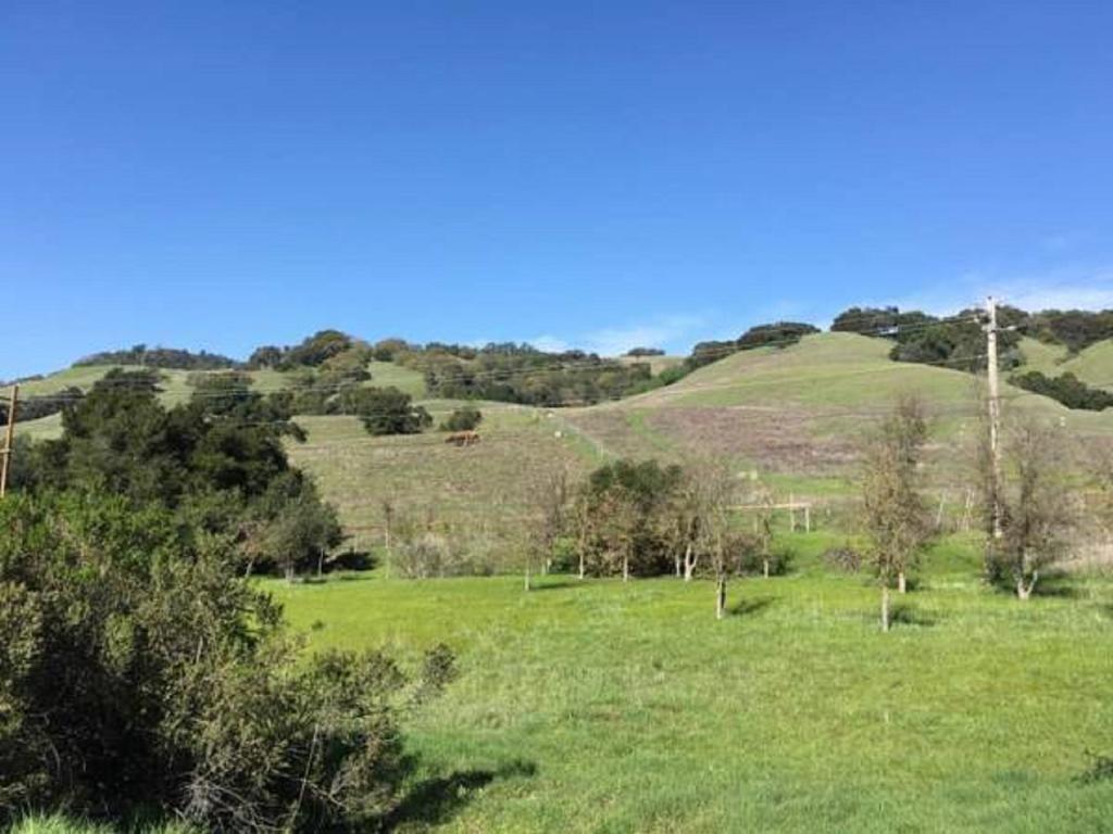 Amitabha Wine Country Cottage Santa Rosa Buitenkant foto