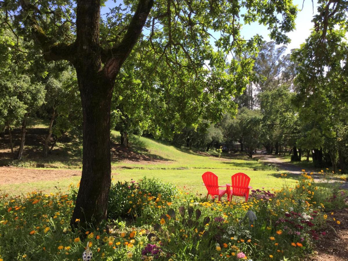 Amitabha Wine Country Cottage Santa Rosa Buitenkant foto